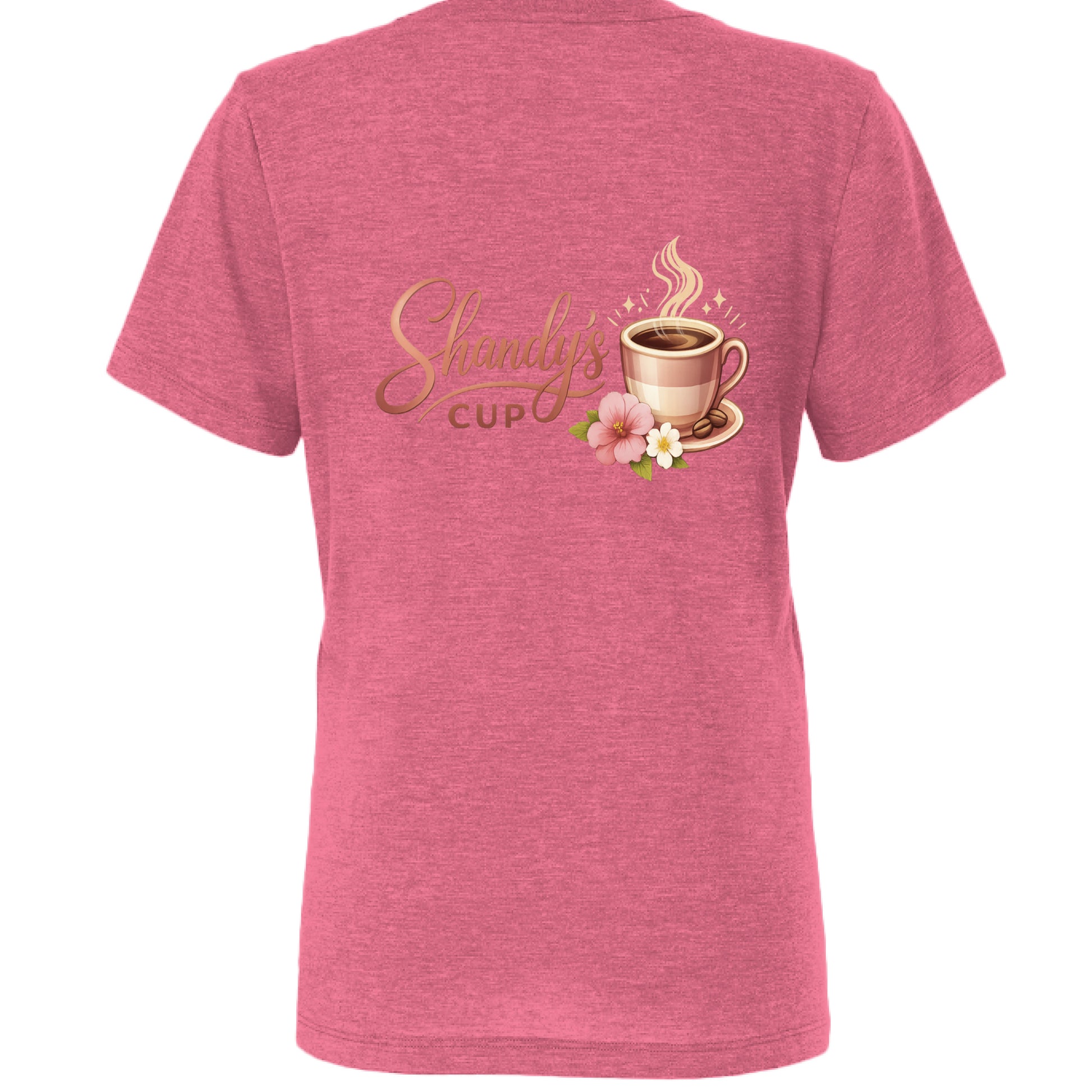 Char Pink Triblend - BACK